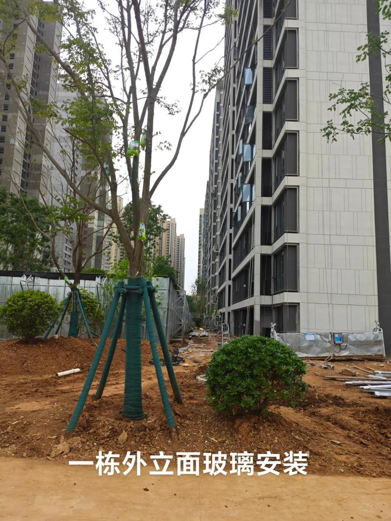 光谷中央公園園林綠化工程施工進展順利，打造生態(tài)休閑新地標