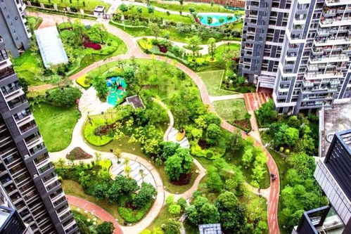 中國風景園林學會優(yōu)秀園林工程精品項目回顧與城市綠化管理實踐