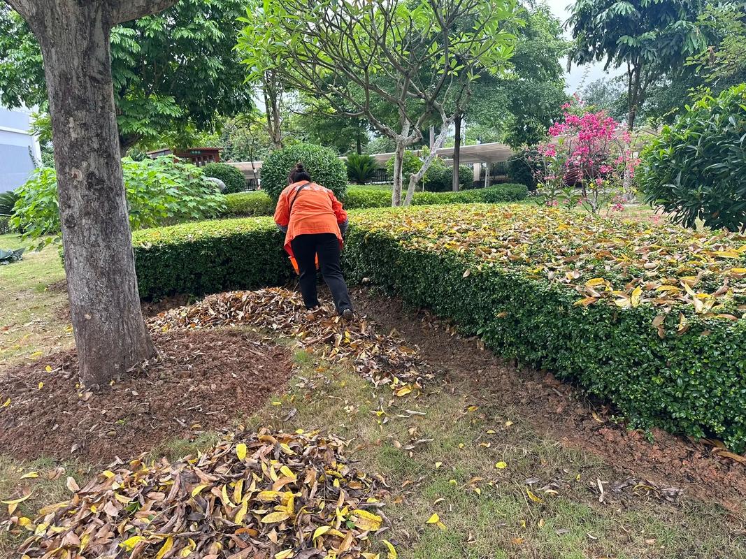 苗木種植基地與園林綠化工程 綠化苗木人施工的關鍵要素